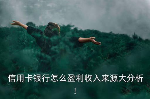 正規信用卡代辦公司是怎么賺錢的,發行信用卡賺錢秘訣