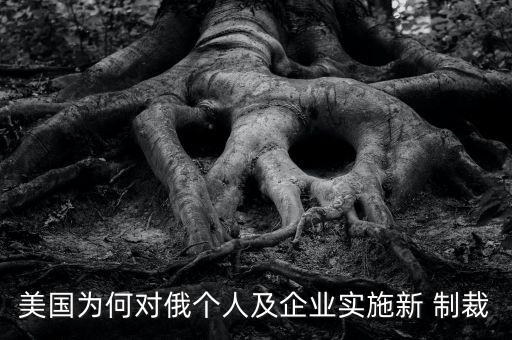 美國為何對俄個人及企業實施新 制裁