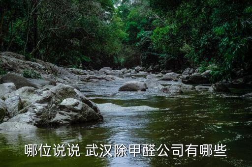 武漢尚遠環保怎么樣,武漢除甲醛公司有哪些?
