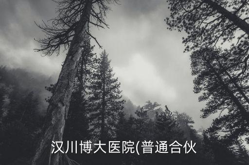 郭震洲怎么樣,漢川博大醫院前身是未來健康科技公司