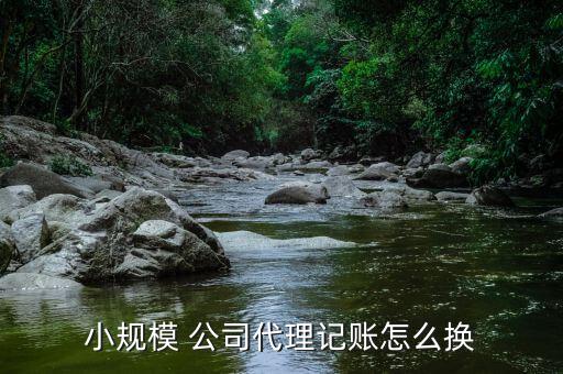 小規模 公司代理記賬怎么換