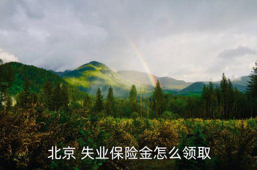 北京怎么領失業險,北京區域2021失業如何領取失業保險金?