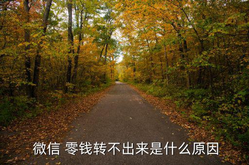 微信零錢怎么不能提現,微信錢不能提現銀行卡上4.零錢可提現