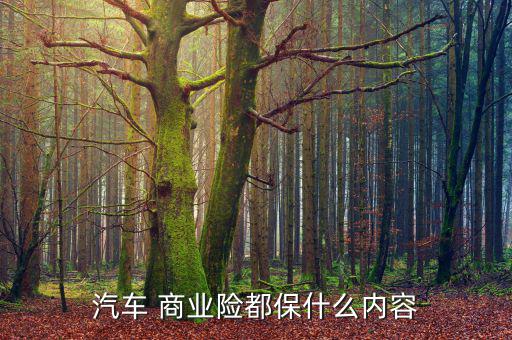 商業險怎么保,買汽車保險注意事項
