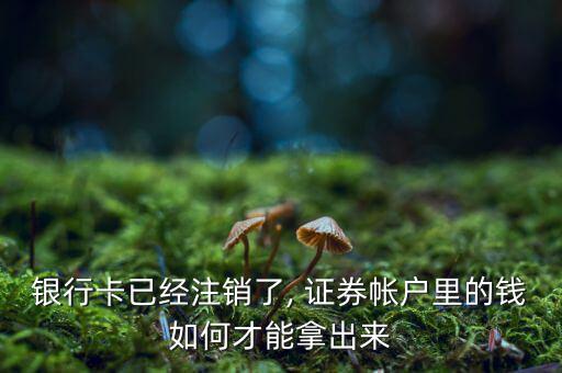 東興證券網上開戶后怎么銷戶,東興證券開戶后如何登錄?