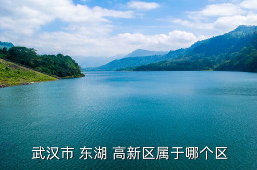 武漢東湖高新區怎么樣,武漢東湖新技術開發區東起稱中國光谷