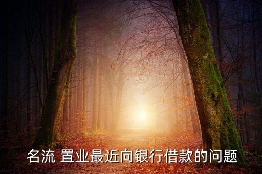  名流 置業最近向銀行借款的問題