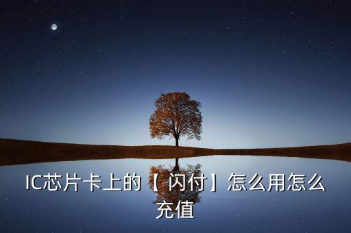 閃付卡怎么充錢,登錄電子錢包向金融通支付網關發送支付指令