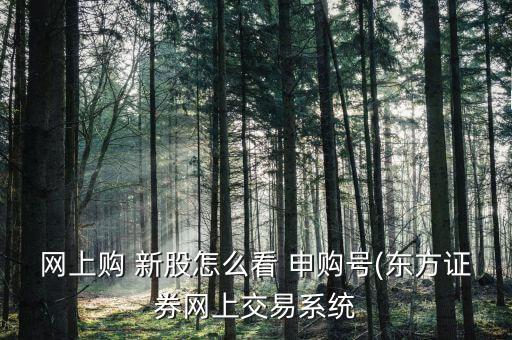 網上購 新股怎么看 申購號(東方證券網上交易系統