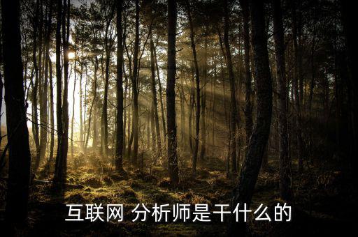 賣方分析師是怎么干的,互聯網分析師由專業人士轉行當分析員