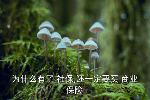 有社保沒有商業保險怎么辦,保險知多少?