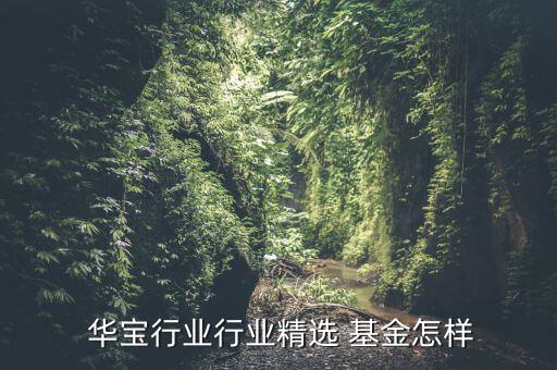 華寶興業基金怎么樣,華寶興業多策略k基金正式成立