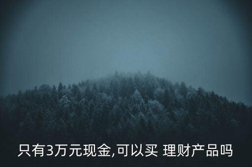 只有3萬元現金,可以買 理財產品嗎
