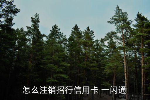 一閃通怎么辦理,一閃通沒有年費取代一卡通辦理業務