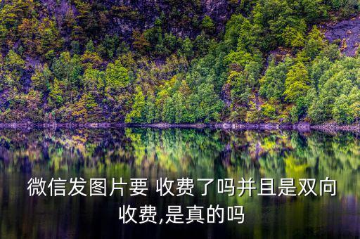 微信收費是怎么回事,微信不會發圖收費望采納純手打方式