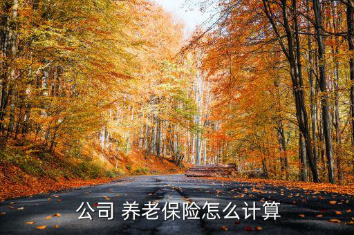 在公司交養老保險怎么算,養老保險怎么算?