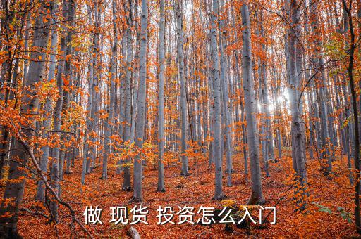 做 現貨 投資怎么入門