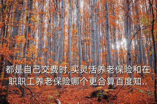 都是自己交費(fèi)時(shí),買(mǎi)靈活養(yǎng)老保險(xiǎn)和在職職工養(yǎng)老保險(xiǎn)哪個(gè)更合算百度知...