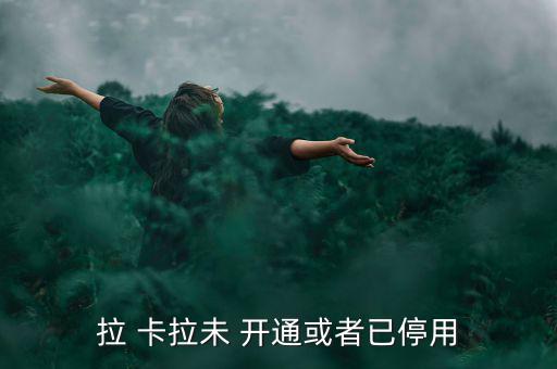 拉卡拉商戶開通未通過怎么辦,武漢出現第一起病例