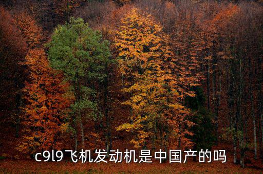 c9l9飛機發動機是中國產的嗎