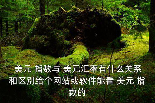  美元 指數與 美元匯率有什么關系和區別給個網站或軟件能看 美元 指數的