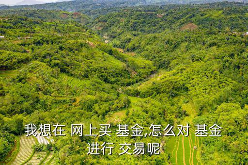 我想在 網上買 基金,怎么對 基金進行 交易呢