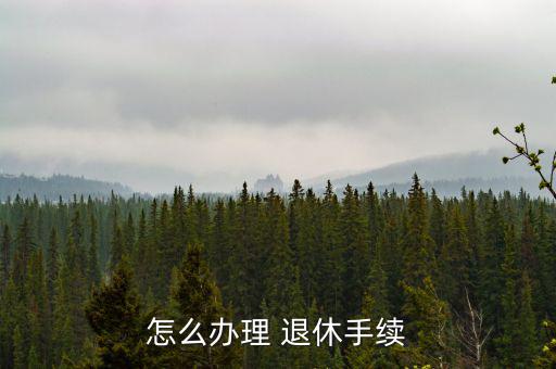怎么辦理 退休手續