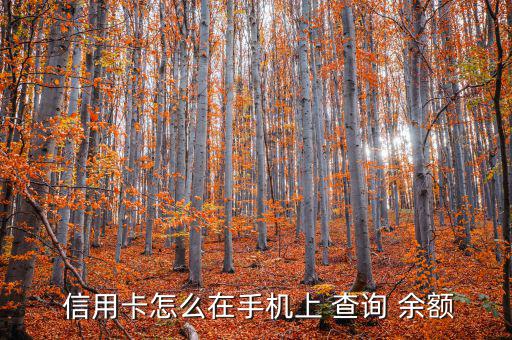 網上怎么查詢信用卡余額,信用卡余額查詢方法:登錄app查詢