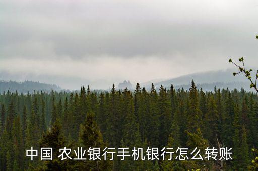 中國 農業銀行手機銀行怎么轉賬