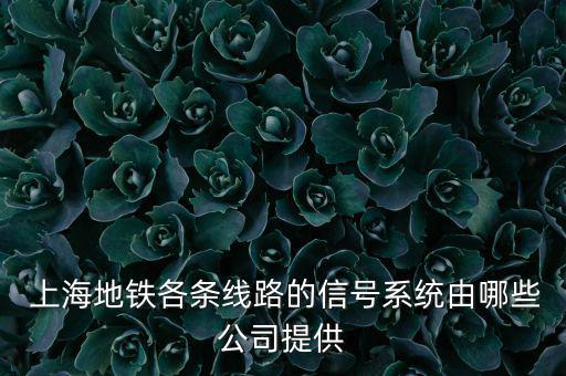  上海地鐵各條線路的信號系統由哪些公司提供
