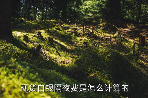 現貨隔夜費怎么算,現貨白銀持倉費為萬分之二