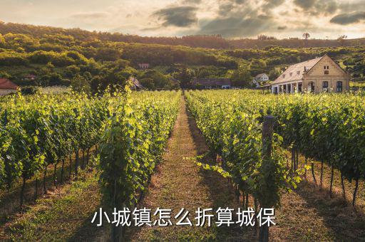 小城鎮怎么構成,15年小城鎮不能轉為城鎮保險?