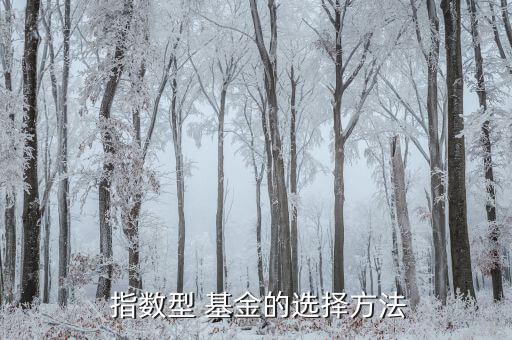 怎么選指數基金,如何選擇優秀基金管理者?