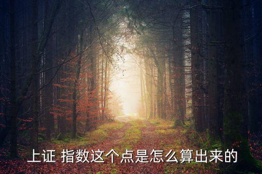  上證 指數這個點是怎么算出來的