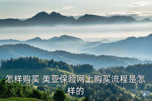 美亞保險怎么報險,春運如何購買保險?可在線投保、索賠