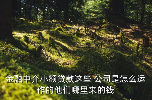 借貸公司怎么運營,參與決策制定業務發展戰略