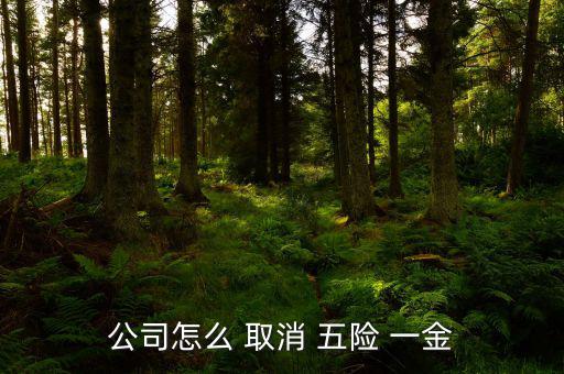 五險一金怎么取消,個人建議取消農業合作養老保險是身份證號