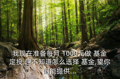 我現在準備每月 1000元做 基金定投,但不知道怎么選擇 基金,望你們能提供...