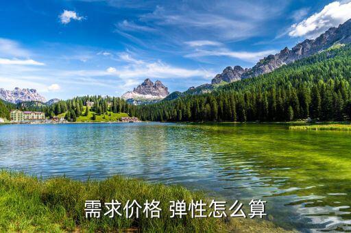 短期價格彈性怎么求,價格和需求反向變化需求價格彈性是負數