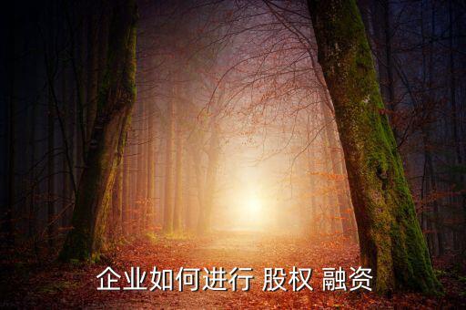  企業如何進行 股權 融資