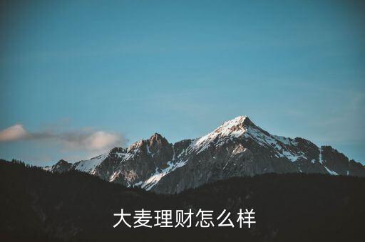 大麥金怎么樣,網貸風險怎么辦?