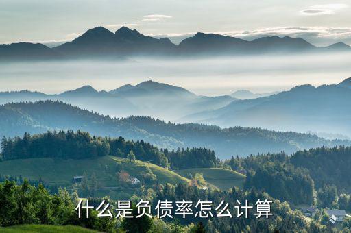 新增債務率怎么算,資產負債率是企業資本占總資產的比率
