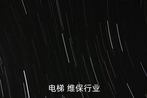  電梯 維保行業