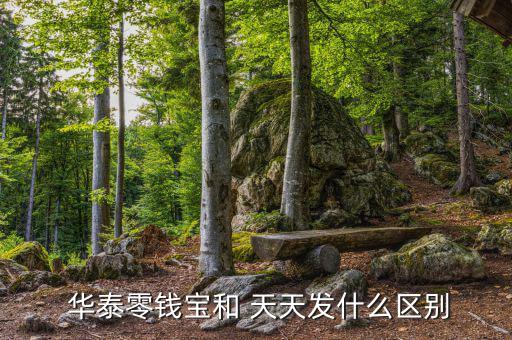 華泰證券天天發怎么樣,天天發行理財在線｜羅清全】理財有道