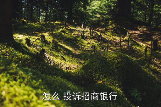 怎么投訴招行,投訴銀行人員違規行為可向銀行投訴