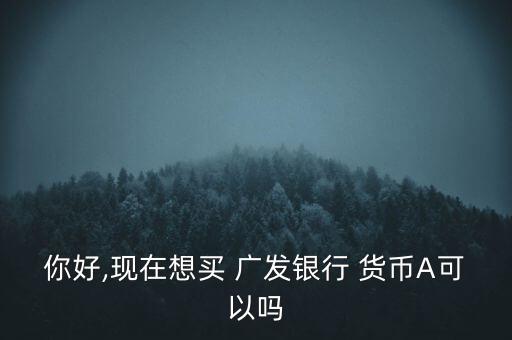 廣發貨幣a怎么樣,廣發貨幣a2012年收益率超過4%