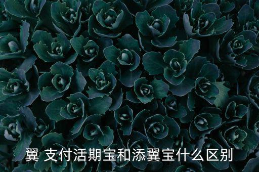 翼 支付活期寶和添翼寶什么區別