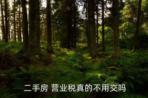 二手房營業稅怎么避免嗎,聽說二手房轉讓兩種情況下免稅?