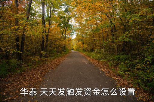  華泰 天天發觸發資金怎么設置