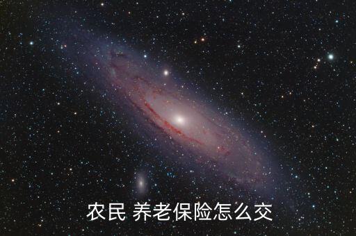  農民 養老保險怎么交